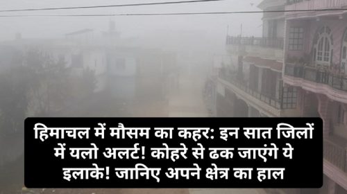 हिमाचल में मौसम का कहर: इन सात जिलों में यलो अलर्ट! कोहरे से ढक जाएंगे ये इलाके! जानिए अपने क्षेत्र का हाल