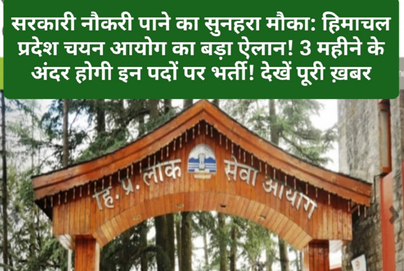 सरकारी नौकरी पाने का सुनहरा मौका: हिमाचल प्रदेश चयन आयोग का बड़ा ऐलान! 3 महीने के अंदर होगी इन पदों पर भर्ती! देखें पूरी ख़बर