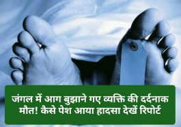 Himachal News Alert: जंगल में आग बुझाने गए व्यक्ति की दर्दनाक मौत! कैसे पेश आया हादसा देखें रिपोर्ट