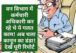 Himachal Crime Alert: वन विभाग में कर्मचारी अधिकारी कर रहे थे ये गलत काम! अब चला कानून का डंडा! देखें पूरी रिपोर्ट