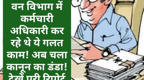 Himachal Crime Alert: वन विभाग में कर्मचारी अधिकारी कर रहे थे ये गलत काम! अब चला कानून का डंडा! देखें पूरी रिपोर्ट