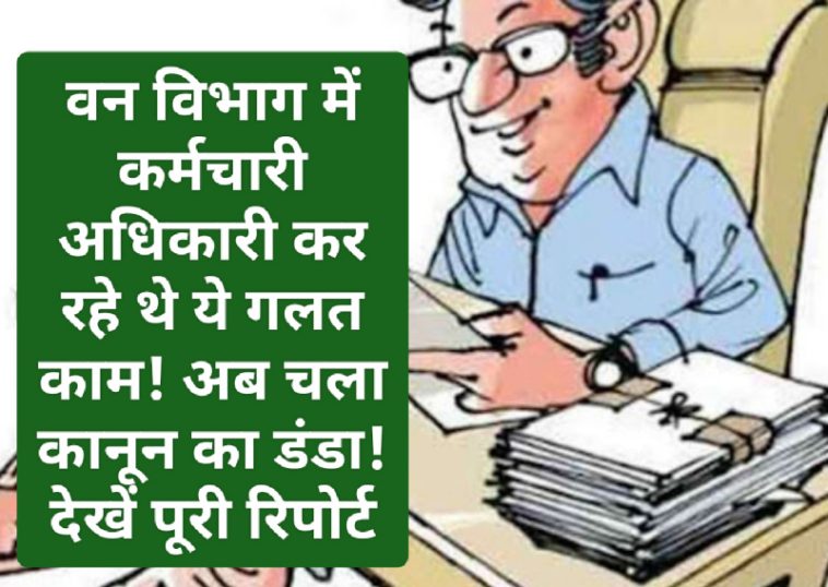 Himachal Crime Alert: वन विभाग में कर्मचारी अधिकारी कर रहे थे ये गलत काम! अब चला कानून का डंडा! देखें पूरी रिपोर्ट