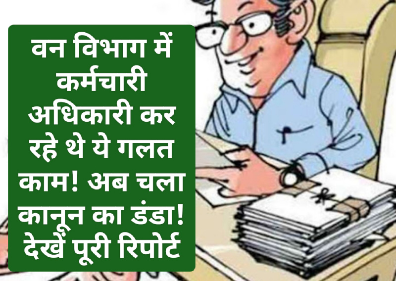 Himachal Crime Alert: वन विभाग में कर्मचारी अधिकारी कर रहे थे ये गलत काम! अब चला कानून का डंडा! देखें पूरी रिपोर्ट