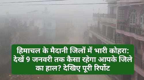 हिमाचल के मैदानी जिलों में भारी कोहरा: देखें 9 जनवरी तक कैसा रहेगा आपके जिले का हाल? देखिए पूरी रिर्पोट