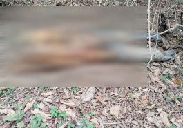 Himachal News Alert: हिमाचल में यहां मिला व्यक्ति का सड़ा-गला शव! दहशत का माहौल