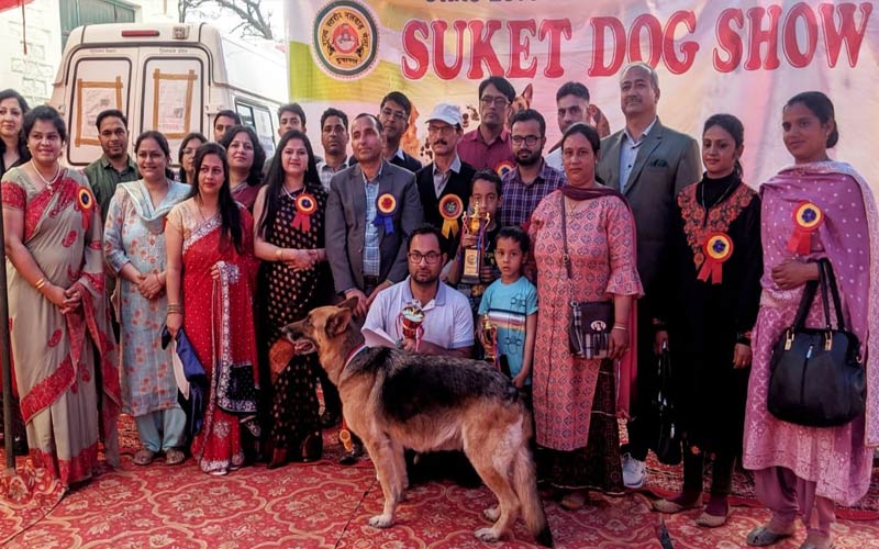 HP News: राज्य स्तरीय नलवाड़ मेले में डॉग शो! विजेता कुत्तों को पुरस्कार देकर किया सम्मानित