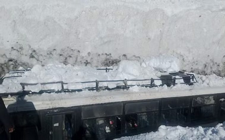 HRTC-bus-hit-by-avalanche.jpg