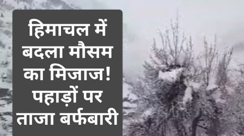 Himachal Weather Update: हिमाचल में बदला मौसम का मिजाज! पहाड़ों पर ताजा बर्फबारी