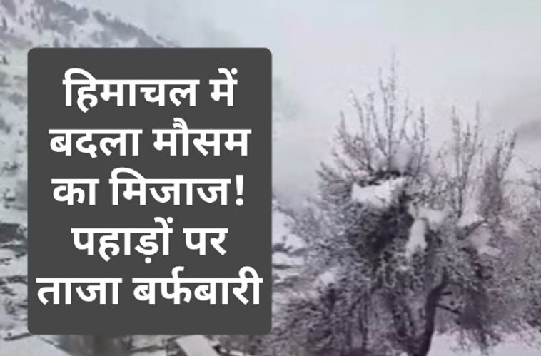 Himachal Weather Update: हिमाचल में बदला मौसम का मिजाज! पहाड़ों पर ताजा बर्फबारी