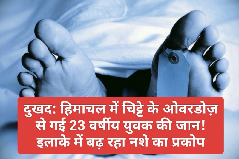 दुखद: हिमाचल में चिट्टे के ओवरडोज़ से गई 23 वर्षीय युवक की जान! इलाके में बढ़ रहा नशे का प्रकोप