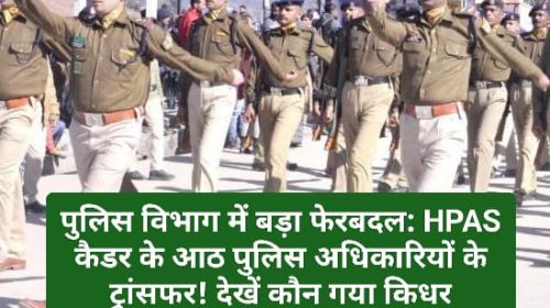 पुलिस विभाग में बड़ा फेरबदल: HPAS कैडर के आठ पुलिस अधिकारियों के ट्रांसफर! देखें कौन गया किधर