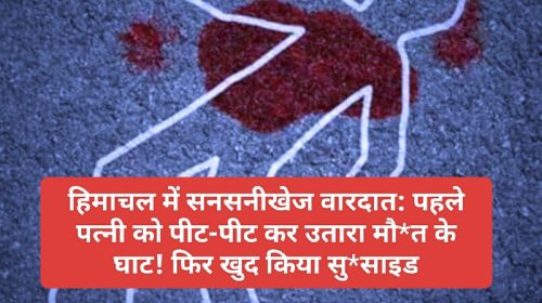 हिमाचल में सनसनीखेज वारदात: पहले पत्नी को पीट-पीट कर उतारा मौ*त के घाट! फिर खुद किया सु*साइड