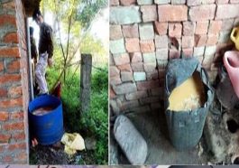 Himachal News Alert: हिमाचल में बड़ी कार्रवाई! करोड़ों मिलीलीटर शराब नष्ट कर हिरासत में लिए 3 आरोपी