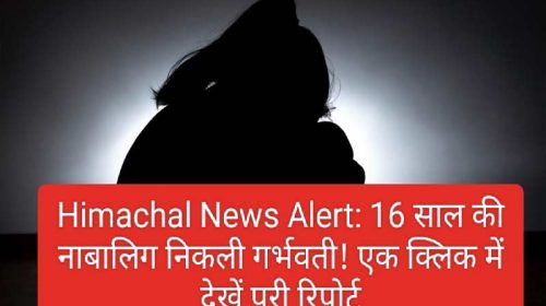 Himachal News Alert: 16 साल की नाबालिग निकली गर्भवती! एक क्लिक में देखें पूरी रिपोर्ट