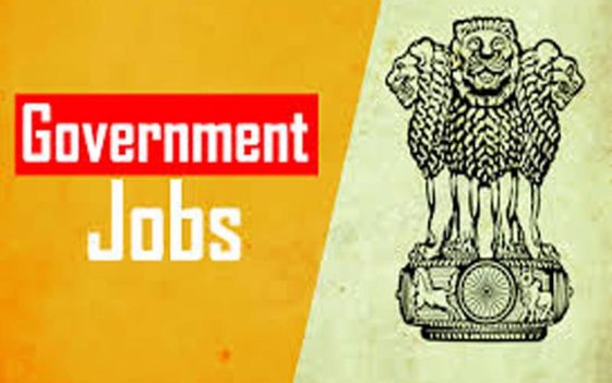 Government-Job-1.jpg