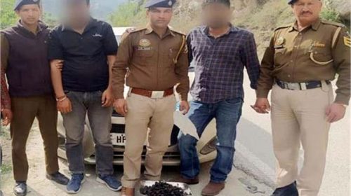 Himachal Crime News: कार से चरस की बड़ी खेप बरामद! हिरासत में लिए दो तस्कर