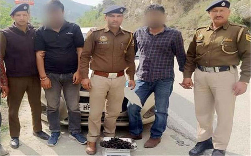 Himachal Crime News: कार से चरस की बड़ी खेप बरामद! हिरासत में लिए दो तस्कर