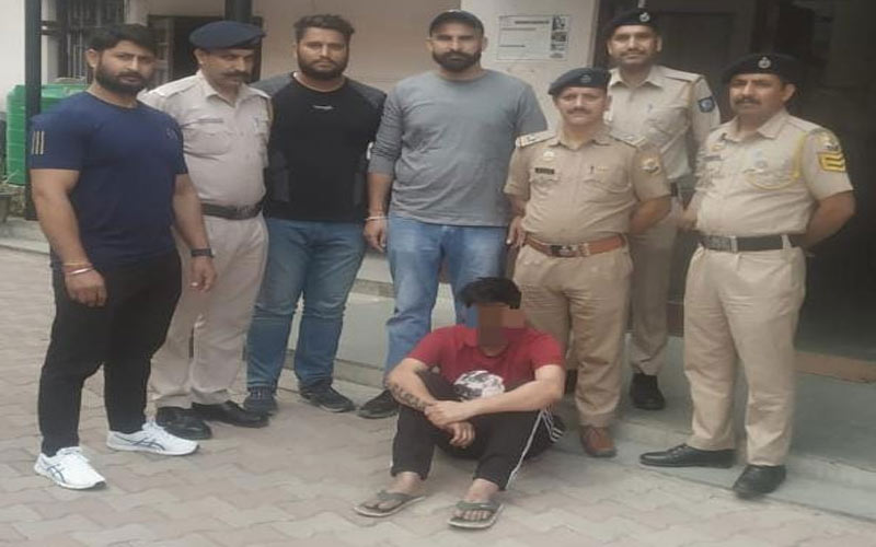 Sirmour News: पंजाब से नशा तस्कर को पकड़ लाई सिरमौर पुलिस! एक क्लिक में देखें पूरी रिपोर्ट