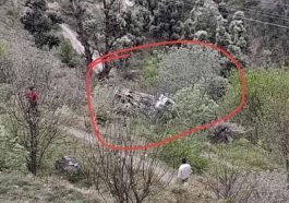 Himachal Accident: गहरी खाई में लुढ़का ट्रक! दो की मौत, एक गंभीर घायल