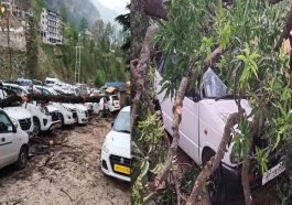 हिमाचल में बदला मौसम: आंधी-तूफान ने मचाई तबाही! गाड़ियां क्षतिग्रस्त