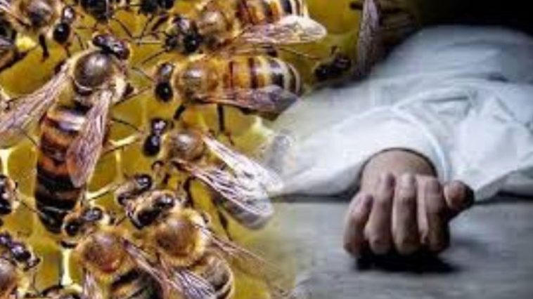 दुखद: घास काट रहे व्यक्ति पर मौत बनकर टूटे रंगड़! दर्दनाक मौत, पीछे छूटे पत्नी सहित तीन बच्चे..