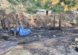 Himachal News Alert: गौशाला में आग लगने से जिंदा जली भैंस! तीन मवेशी भी बुरी तरह झुलसे