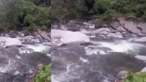 Himachal Accident: सड़क से खाई में लुढ़की कार! 21 वर्षीय युवक की मौत