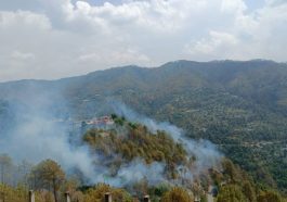 Himachal News Alert: हिमाचल में दहक रहे जंगल! अब तक 1302 जगह आग लगने से 12431 हेक्टेयर वन संपदा राख