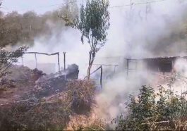 Sirmour News: कालाअंब में पांच गौशाला चढ़ी आग की भेंट! अंदर बंधी गाय जिंदा जली