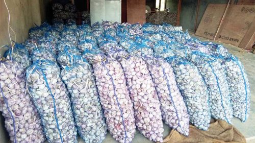 Garlic Price: लहसुन के दामों ने तोड़े रिकॉर्ड! 350 रूपए प्रति किलो तक मिले दाम, किसान खुश