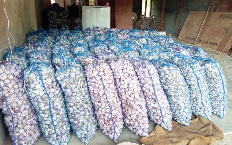 Garlic Price: लहसुन के दामों ने तोड़े रिकॉर्ड! 350 रूपए प्रति किलो तक मिले दाम, किसान खुश