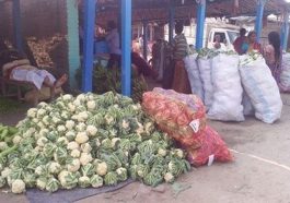 HP News: फुलगोभी और मटर के दामों में भारी उछाल! 100 रुपये प्रतिकिलो तक पहुंचे दाम