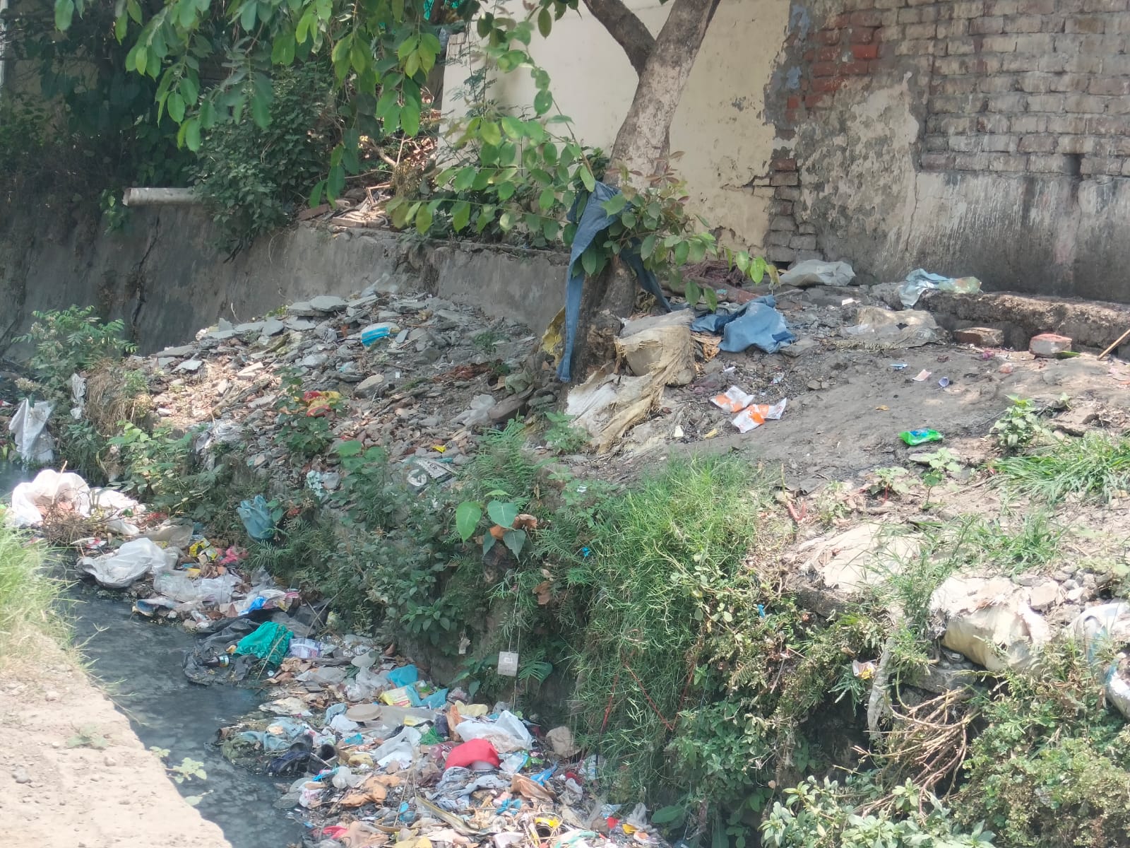 Paonta Sahib: शापित जीवन जीने को मजबूर वाल्मिकी बस्ती के लोग! 4 करोड़ की स्वीकृति के बावजूद नहीं बदले हालात…