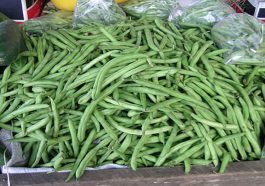 HP News: डिमांड बढ़ने से पहाड़ी फ्रासबीन के दामों में उछाल! इतने रूपए किलो बिक रही…