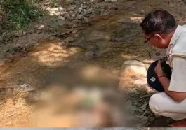 Himachal News Alert: हिमाचल में यहां नर कंकाल मिलने से फैली सनसनी! पुलिस ने शव गृह में रखवाया