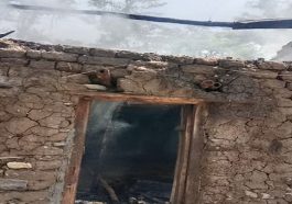 Himachal News Alert: हिमाचल में जिंदा जलकर व्यक्ति की माैत! गौशाला में मवेशियों को बचाते हुआ हादसा