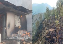 Himachal News Update: हिमाचल में भीषण अग्निकांड! रिहायशी मकान सहित सेब के 500 पौधे जले