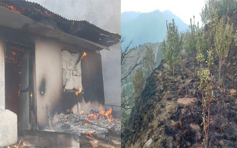 Himachal News Update: हिमाचल में भीषण अग्निकांड! रिहायशी मकान सहित सेब के 500 पौधे जले