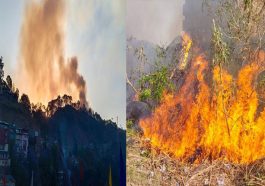 Himachal News Alert: भीषण गर्मी में दहक रहे हिमाचल के जंगल! अब तक 958 जगह लगी आग
