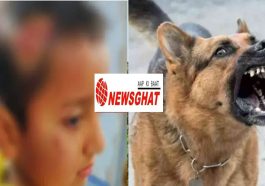 Sirmour News: जमटा में पालतू कुत्ते का आतंक! 4 वर्षीय मासूम का सिर और मुंह नोंचा