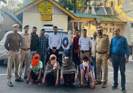Himachal Crime News: दस मॉनिटर लिजर्ड सहित 17 सियार सिंगी के अवशेष बरामद! चार आरोपी काबू