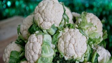 Those-who-eat-cauliflower-s.jpg