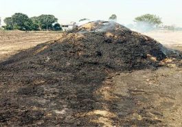 Himachal News Alert: आग लगने से जलकर राख हुई खेतों में रखी तूड़ी