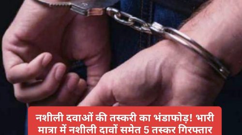 Himachal Crime: नशीली दवाओं की तस्करी का भंडाफोड़! भारी मात्रा में नशीली दावों समेत 5 तस्कर गिरफ्तार! क्या है पूरा मामला देखें रिपोर्ट