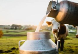 Himachal Latest News: हिमाचल में दूध भी हुआ महंगा! अमूल और वेरका के दामों में बढ़ोतरी