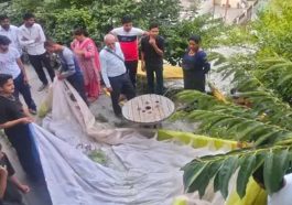 HP News: हिमाचल में दिशा भटका पैराग्लाइडर! मकान की छत पर करनी पड़ी लैंडिंग