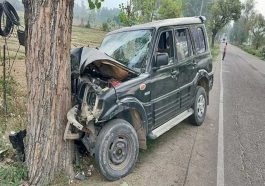 Accident In Himachal: लावारिस पशुओं को बचाने के चक्कर में पेड़ से टकराई स्कॉर्पियो! हादसे में पांच लोग…..