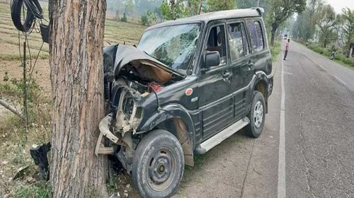 Accident In Himachal: लावारिस पशुओं को बचाने के चक्कर में पेड़ से टकराई स्कॉर्पियो! हादसे में पांच लोग…..