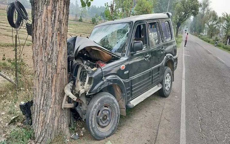 Accident In Himachal: लावारिस पशुओं को बचाने के चक्कर में पेड़ से टकराई स्कॉर्पियो! हादसे में पांच लोग…..