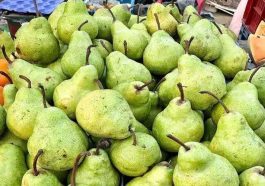 Himachal News: नाशपाती के दामों में आया उछाल! 100 रुपये प्रतिकिलो तक बिकी